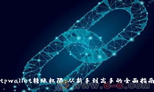 tpwallet转账权限：从新手到高手的全面指南