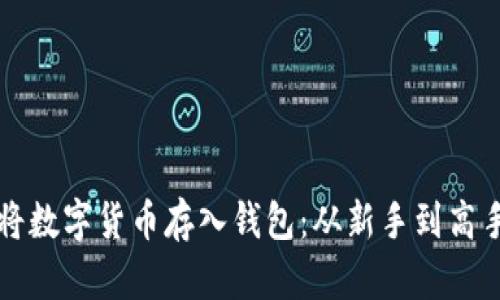 如何安全地将数字货币存入钱包：从新手到高手的全面指南