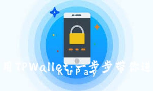 如何下载和使用TPWallet：一步步带你进入区块链世界