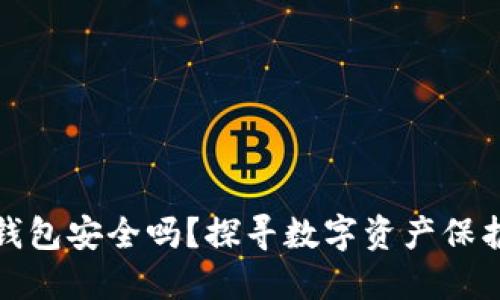TP去中心化钱包安全吗？探寻数字资产保护的秘密之旅