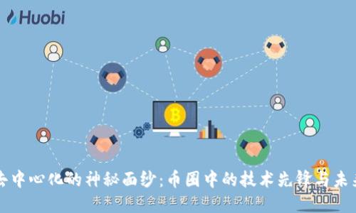 揭开去中心化的神秘面纱：币圈中的技术先锋与未来展望