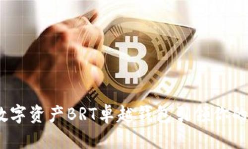 不再孤单：数字资产BRT卓越钱包引领你的投资新时代