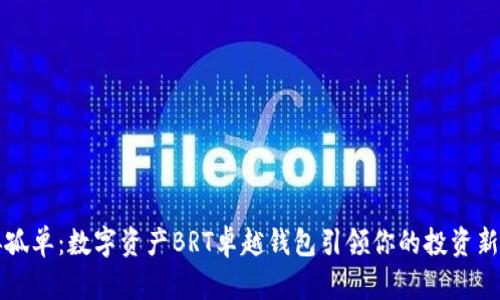 不再孤单：数字资产BRT卓越钱包引领你的投资新时代