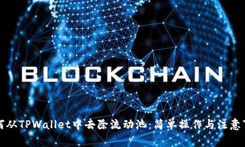 如何从TPWallet中去除流动池：简单操作与注意事项