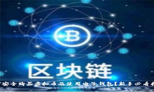 如何安全购买虚拟币及使用电子钱包？新手必看指南！