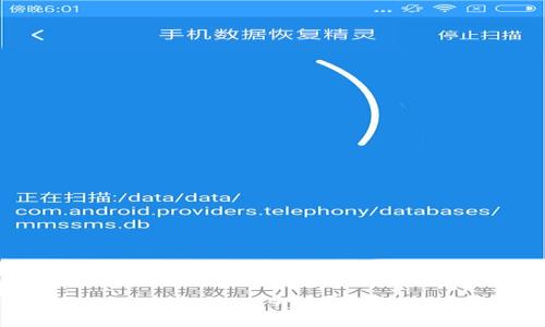 数字钱包要交会员费吗？揭开会员费的真相与使用技巧