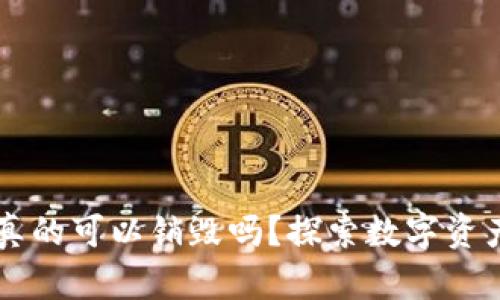 区块链钱包真的可以销毁吗？探索数字资产安全的真相