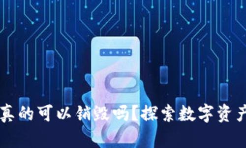 区块链钱包真的可以销毁吗？探索数字资产安全的真相
