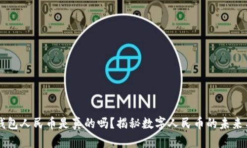 虚拟钱包人民币是真的吗？揭秘数字人民币的未来与潜力