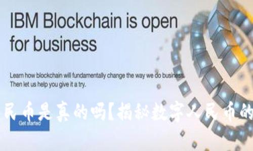 虚拟钱包人民币是真的吗？揭秘数字人民币的未来与潜力