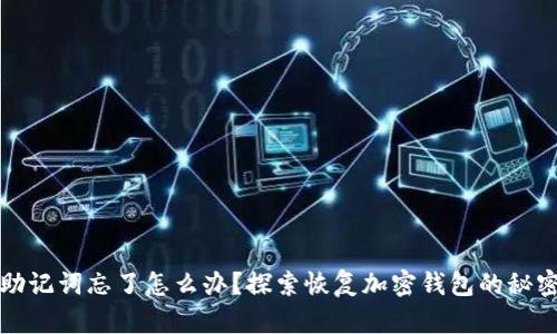 钱包助记词忘了怎么办？探索恢复加密钱包的秘密之路
