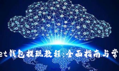 TokenPocket钱包提现教程：全面指南与常见问题解答