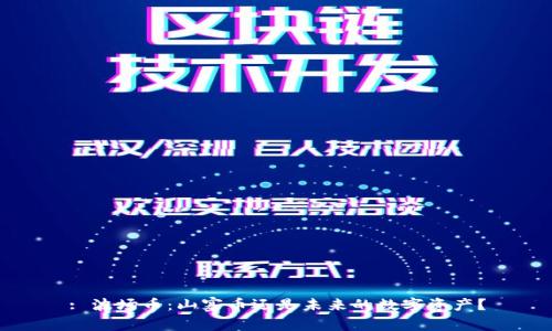: 波场币：山寨币还是未来的数字资产？