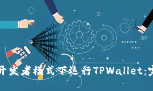 如何在开发者模式下运行TPWallet：完整指南