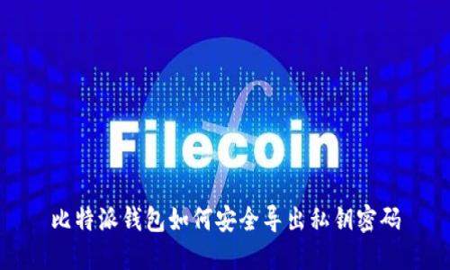 比特派钱包如何安全导出私钥密码