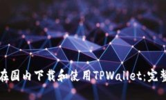 如何在国内下载和使用TPWallet：完整指南