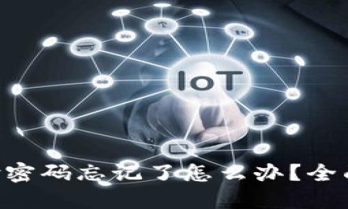 TokenPocket支付密码忘记了怎么办？全面指南与解决方案