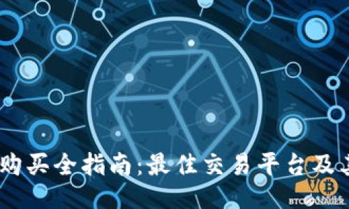 USDT购买全指南：最佳交易平台及其特点