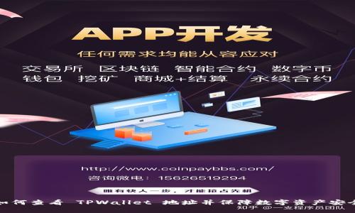 如何查看 TPWallet 地址并保障数字资产安全