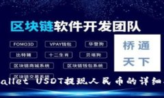 tpwallet USDT提现人民币的详细指南