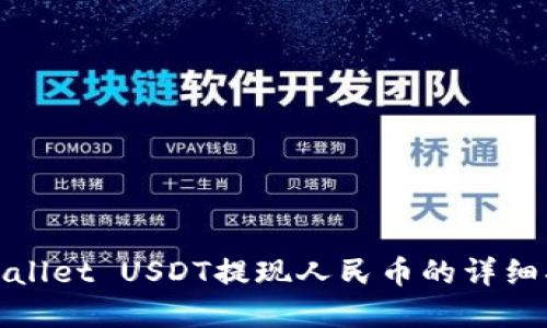 tpwallet USDT提现人民币的详细指南